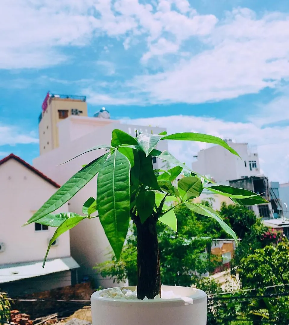 Huha Home - Da Nang Economy hotel